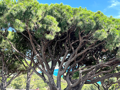 Les Parcs de Beauvallon à Grimaud
