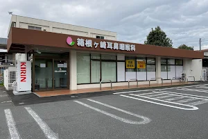 Hakonegasaki ENT Clinic image