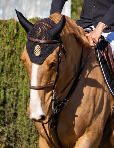 Special Feeds - Ontígola