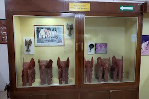 ZONAL ANTHROPOLOGICAL MUSEUM image