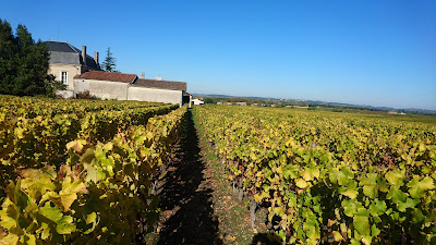 Chateau Lafon EARL Fauthoux à Sauternes