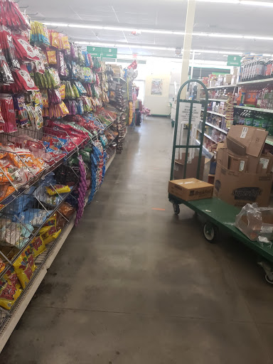 Dollar Store «Dollar Tree», reviews and photos, 3544 Canton Rd, Marietta, GA 30066, USA