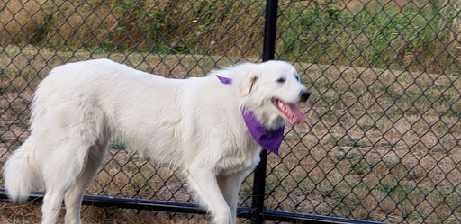 Park «Meridian Habitat Park & Community Center», reviews and photos, 14422 Meridian E, Puyallup, WA 98375, USA