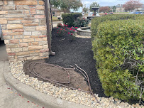 Canseco lawn and tree - Photo 2 - Car repair in , Longview