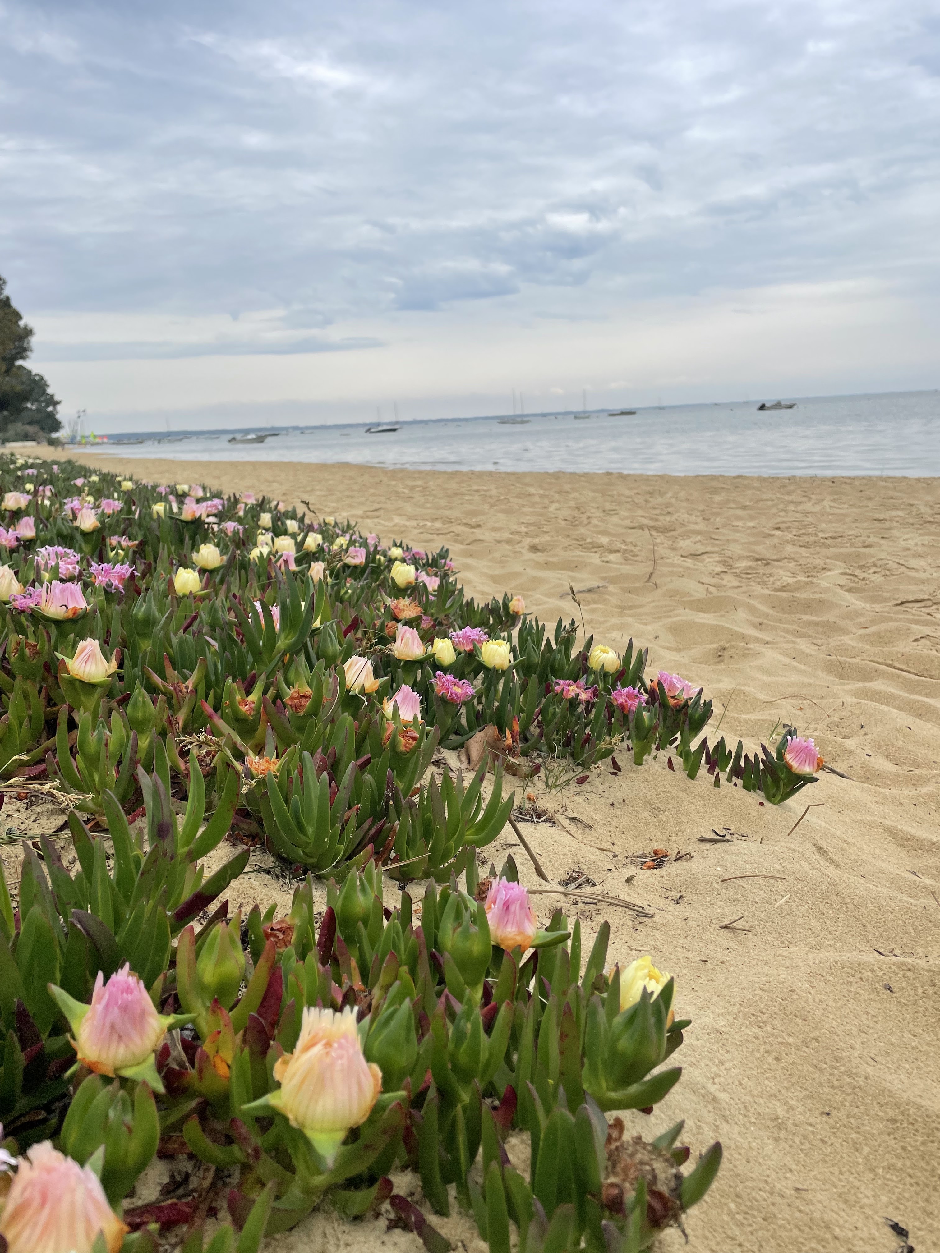 Photo n° 3 de l'avis de gladys.i fait le 01/05/2022 à 10:55