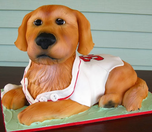 Bakery «Oakleaf Cakes Bake Shop», reviews and photos, 12 Westland Ave, Boston, MA 02115, USA