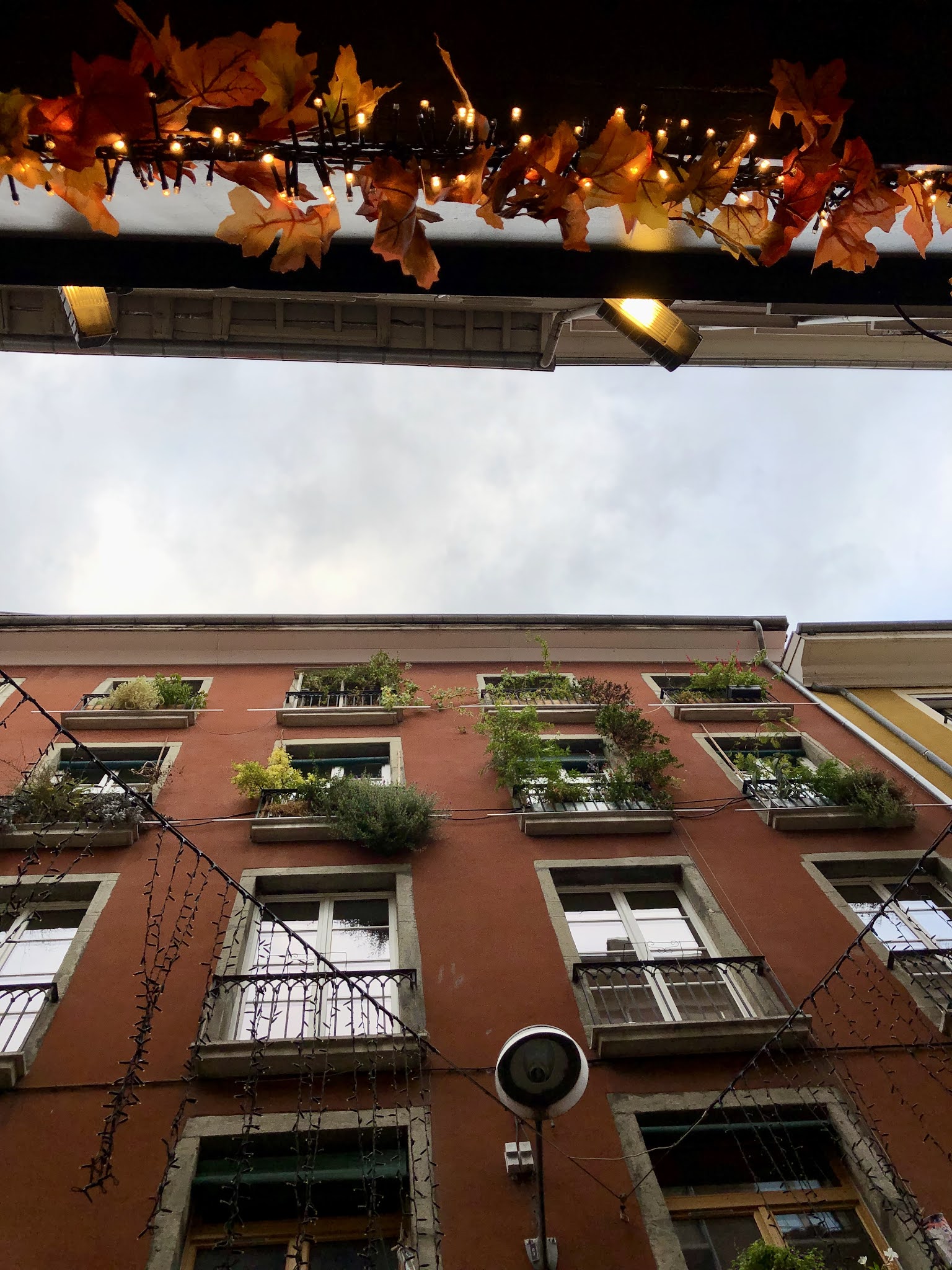 Photo n° 2 de l'avis de Vincent.t fait le 18/10/2021 à 15:38