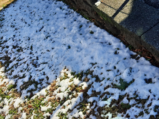 Kia Dealer «Bob King Kia», reviews and photos, 1725 Link Rd, Winston-Salem, NC 27103, USA