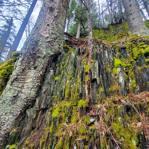 Museum «Michigan Iron Industry Museum», reviews and photos, 73 Forge Rd, Negaunee, MI 49866, USA