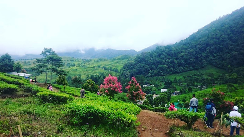 Taman Nasional Gunung Gede Pangrango