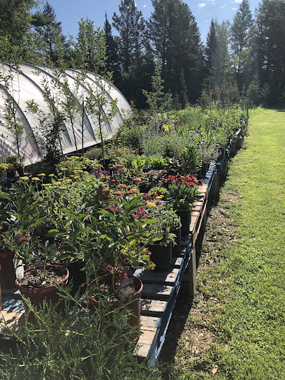 Northern Connection Landscaping, Evergreen Products & Greenhouse LLC.