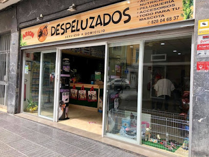 Despeluzados - Servicios para mascota en Palmas de Gran Canaria