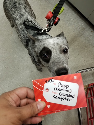 Pet Supply Store «Petco Animal Supplies», reviews and photos, 753 53rd Ave NE, Fridley, MN 55421, USA