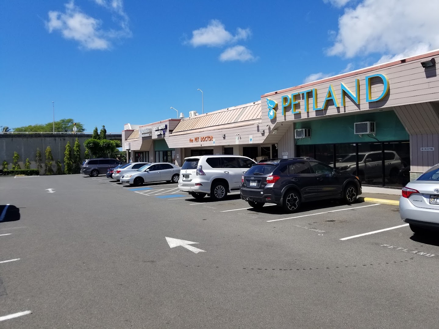 Petland Inc. - Kahala