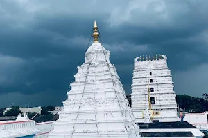 Ranga Nayaka Swamy Temple image