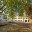 Albert-Schweitzer-Realschule