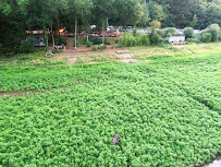 Jardin du Café L'Autre Café à Saint-Laurent-de-Terregatte - n°20