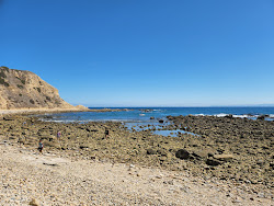 White Point Beach'in fotoğrafı vahşi alan