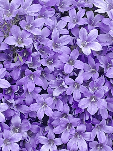 Golf Course «Jefferson Park Golf Course», reviews and photos, 4101 Beacon Ave S, Seattle, WA 98108, USA