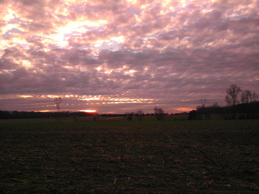 Criminal Justice Attorney «Andrew Flusche, Attorney at Law», reviews and photos