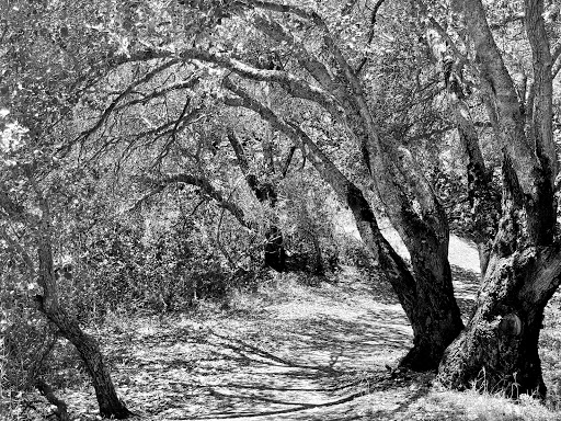 Nature Preserve «Rancho Cañada del Oro Open Space Preserve», reviews and photos, 4289 Casa Loma Rd, Morgan Hill, CA 95037, USA