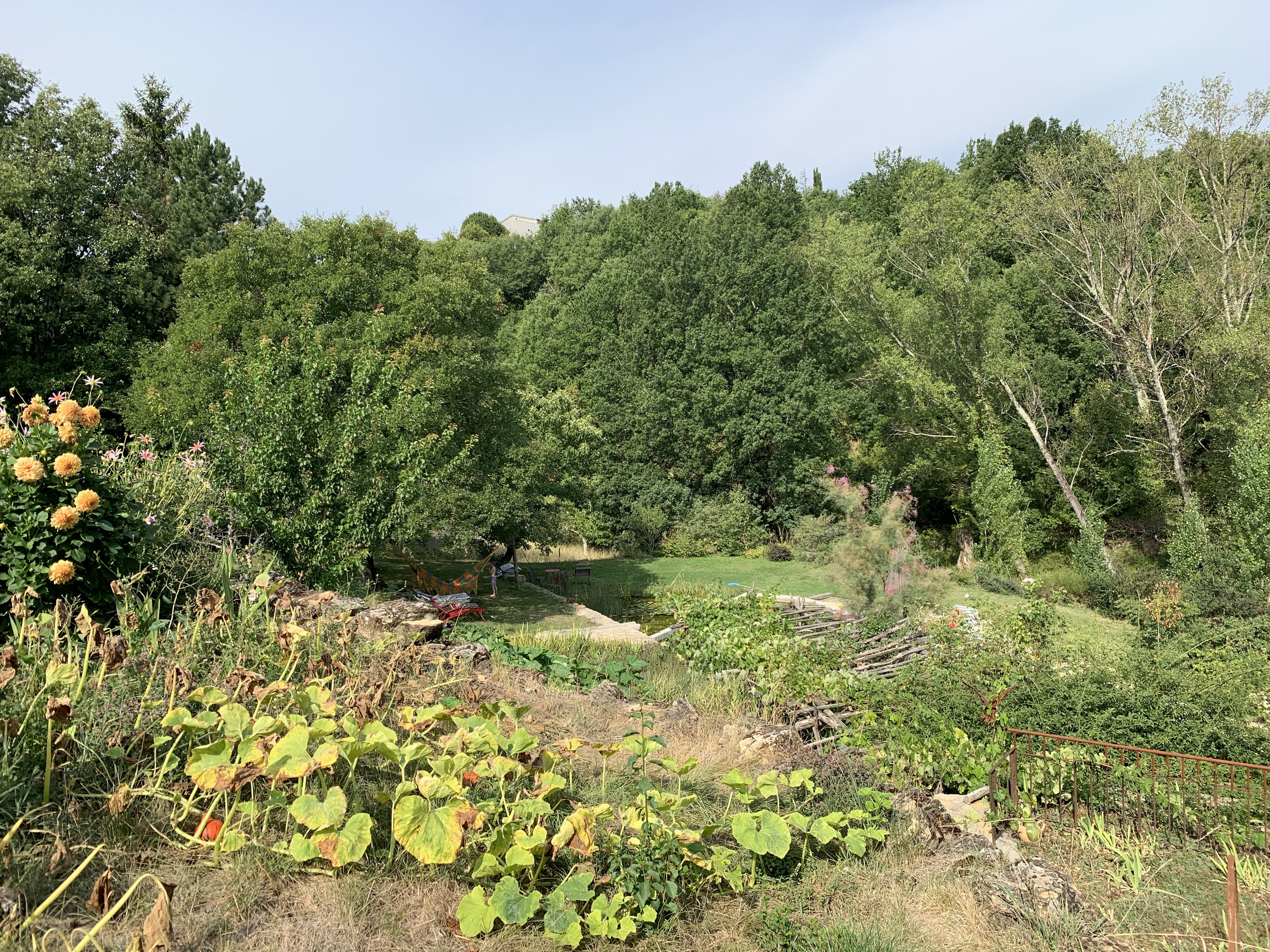 Photo n° 1 de l'avis de Nicola.h fait le 03/09/2019 à 12:01