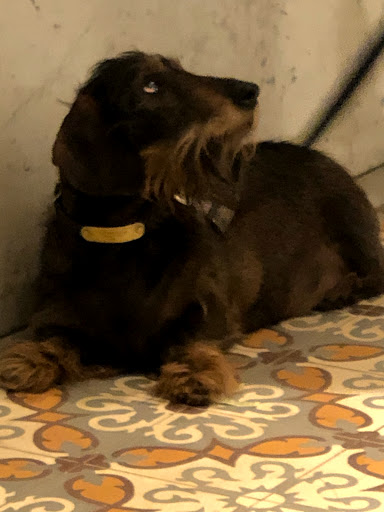 Art Museum «Museum of Arts and Design (MAD)», reviews and photos, 2 Columbus Cir, New York, NY 10019, USA