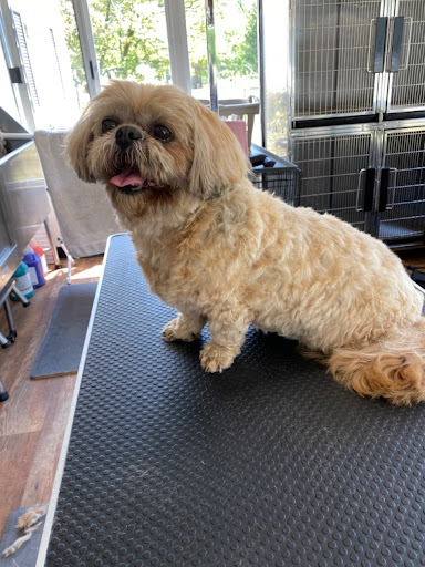 Jay’s Moondoggie Spa