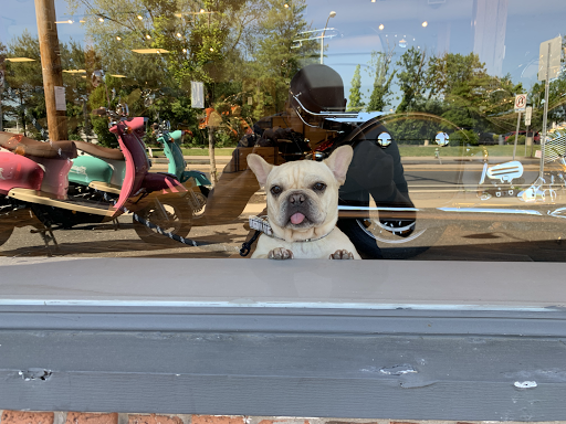 Motorcycle Dealer «Indian Motorcycle of Monmouth», reviews and photos, 1318 NJ-33, Neptune City, NJ 07753, USA