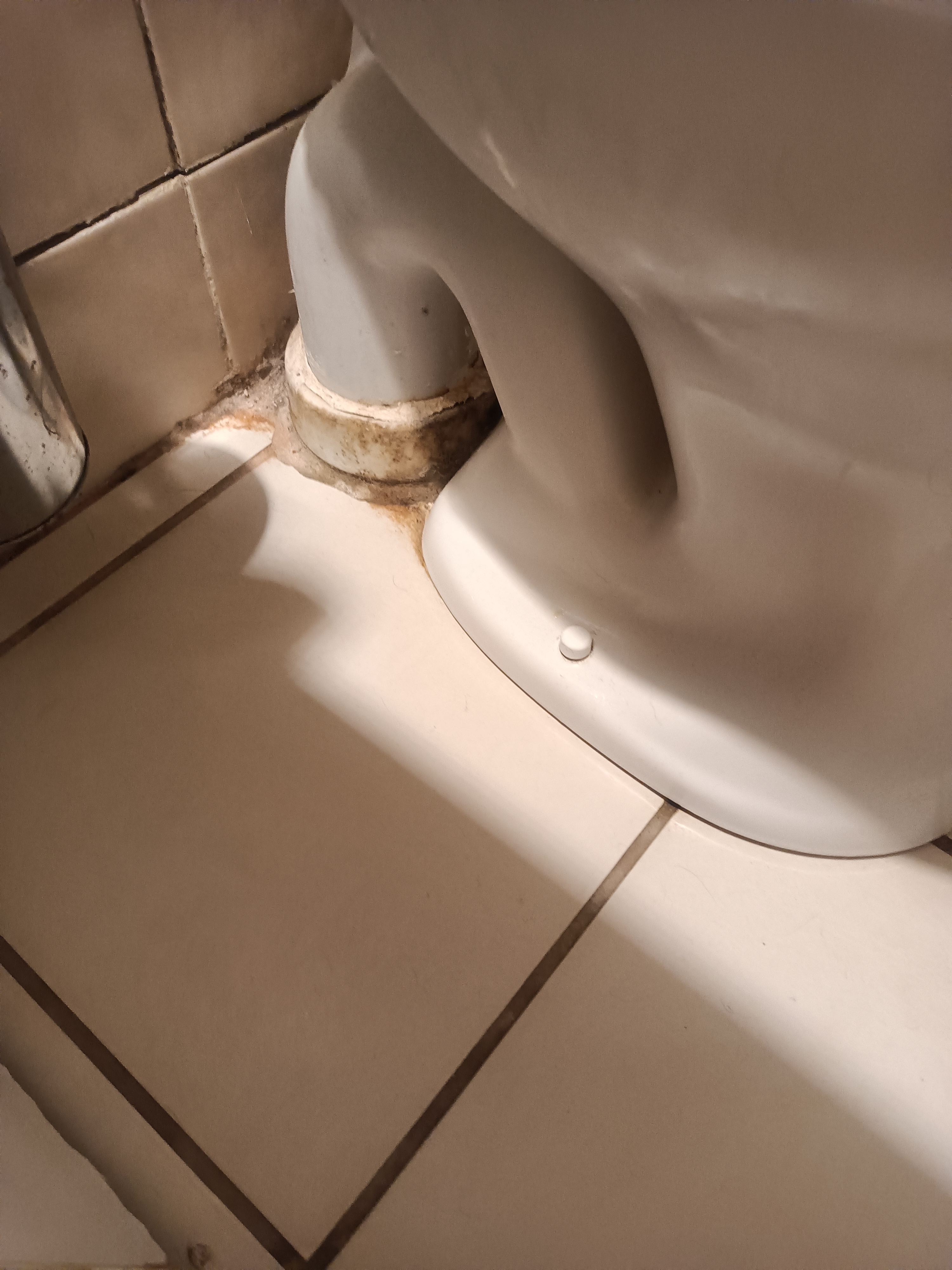Photo n° 1 de l'avis de Olivier.a fait le 28/10/2023 à 20:28