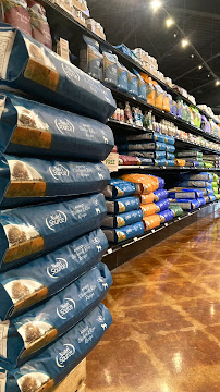 Nature's Emporium Pet Food Market | Gift Store - Photo 5 - Car repair in Roanoke, VA, Roanoke