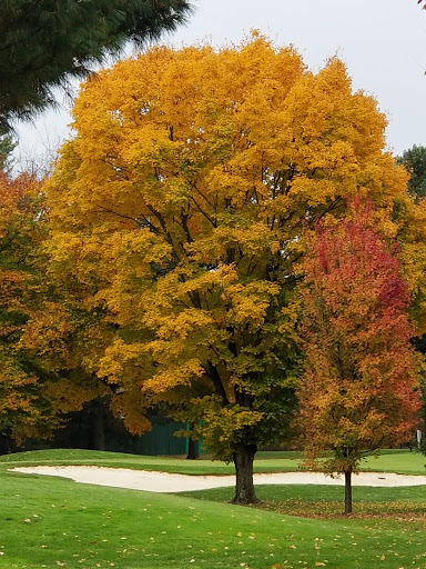 Golf Course «Zoar Village Golf Course», reviews and photos, 8229 Dover Zoar Rd NE, Dover, OH 44622, USA