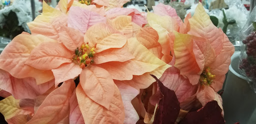 Craft Store «Michaels», reviews and photos, 2855 N 19th Ave b, Bozeman, MT 59718, USA