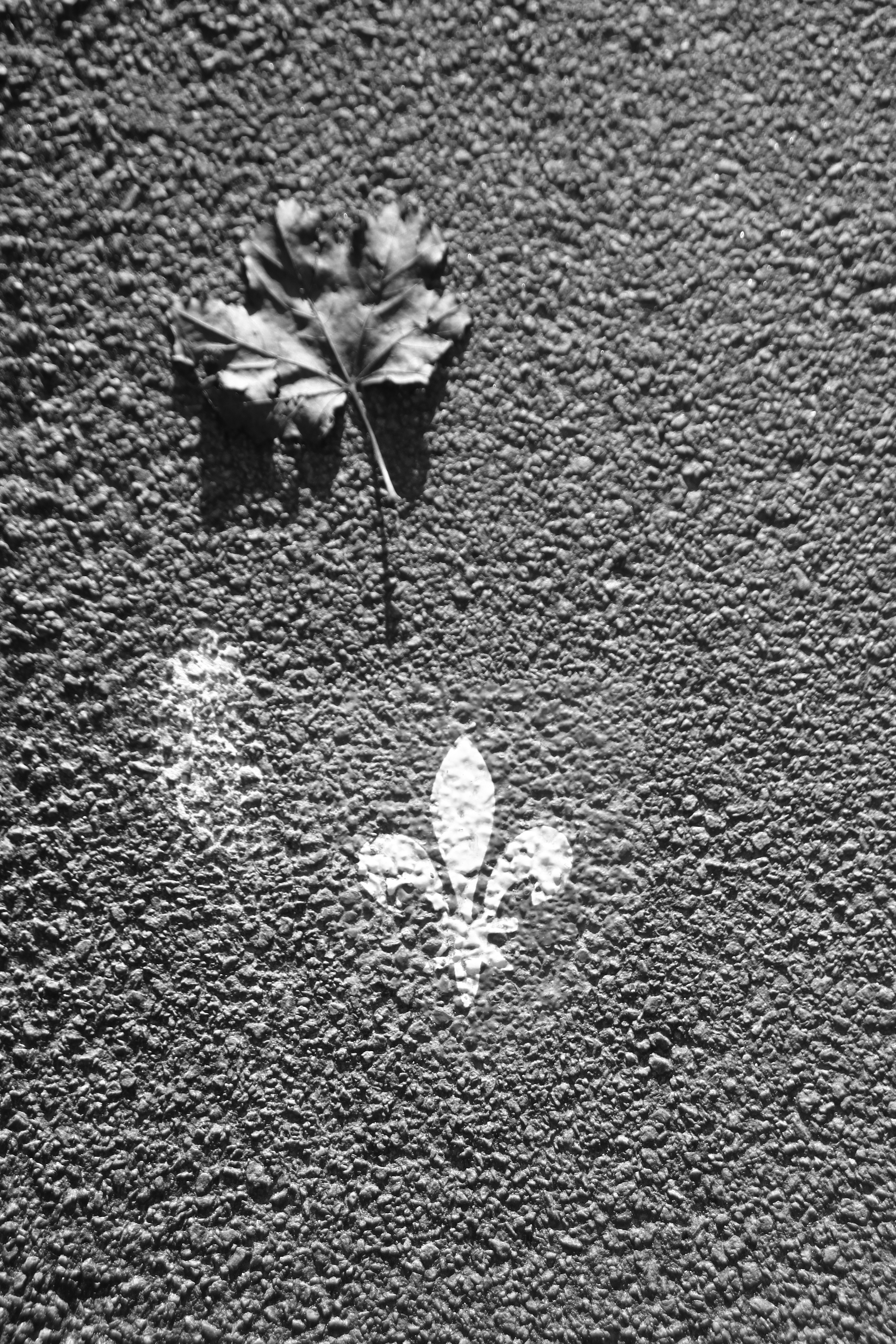 Photo n° 1 de l'avis de Gerald.a fait le 09/02/2024 à 15:19