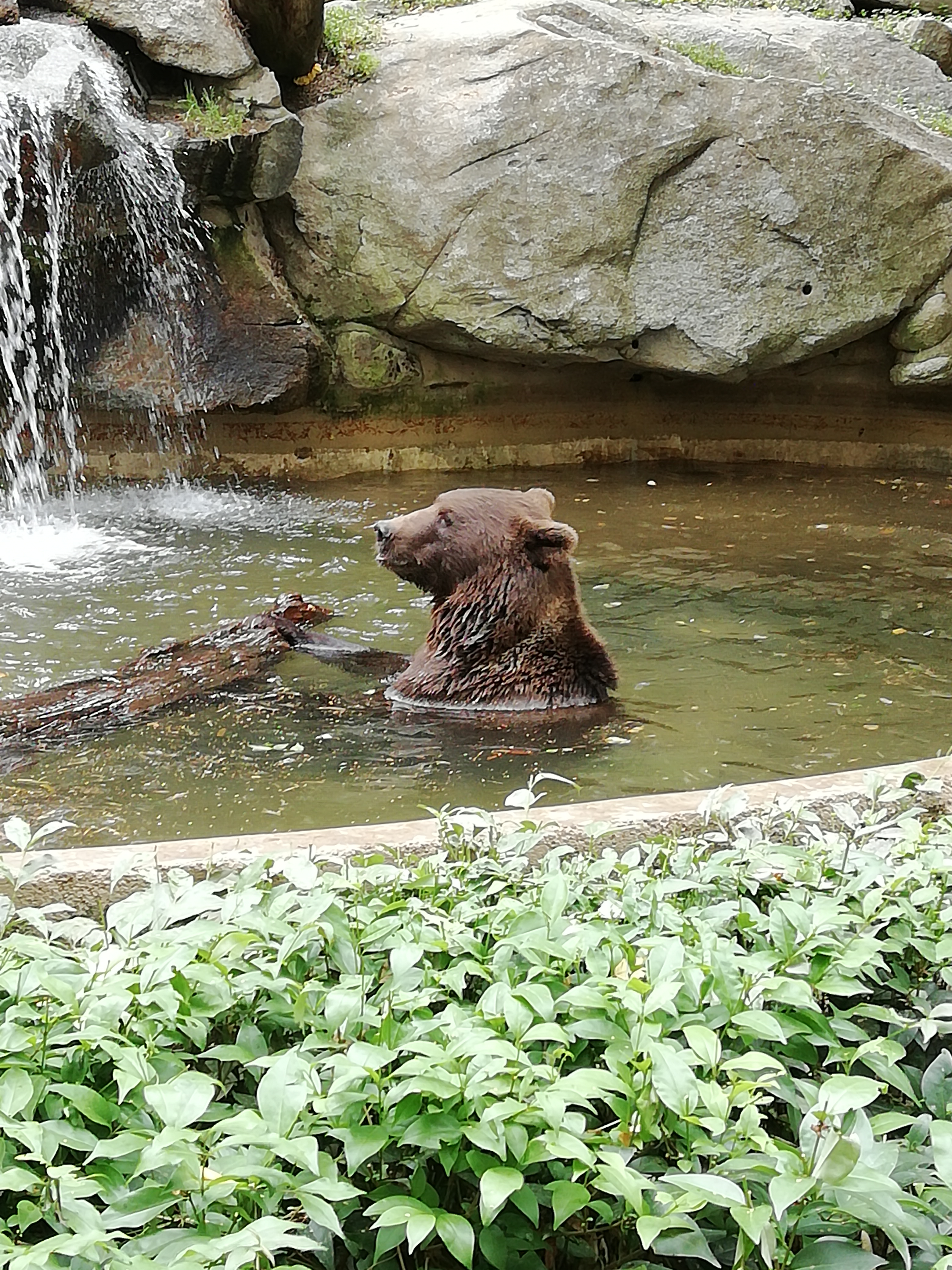 Photo n° 1 de l'avis de Christophe.e fait le 07/09/2022 à 20:35