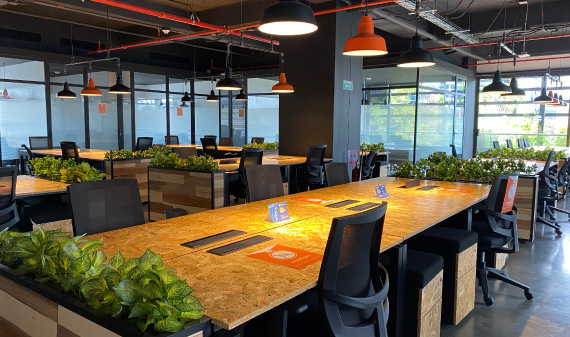 Elemental Business Consulting