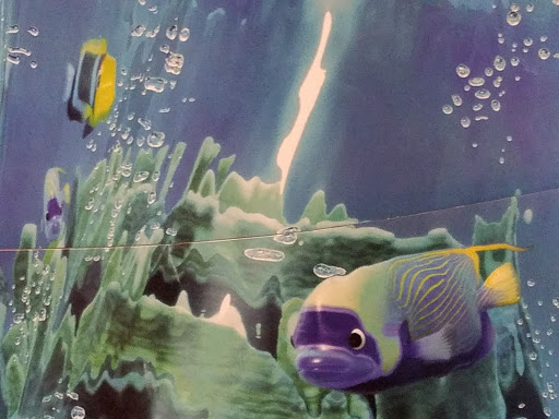 Movie Theater «AMC Mayfair Mall 18», reviews and photos, 2500 N Mayfair Rd M186, Wauwatosa, WI 53226, USA