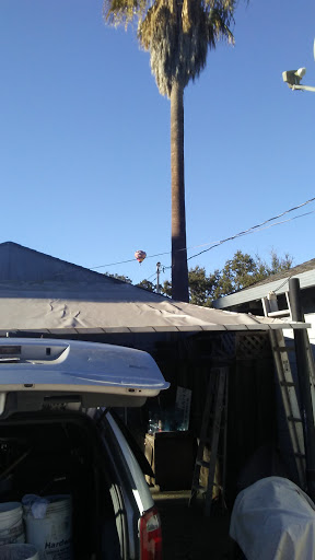 Car Dealer «Volvos By Morgans», reviews and photos, 4580 Badger Rd, Santa Rosa, CA 95409, USA