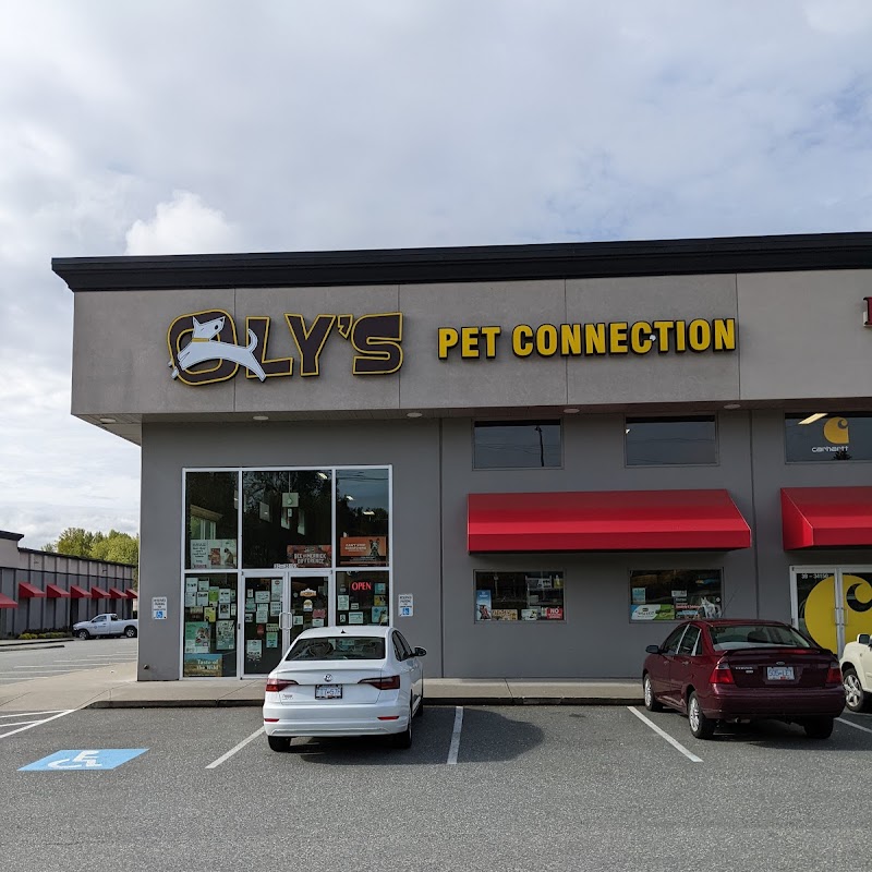 Oly's Pet Connection