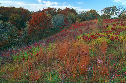 Nature Preserve «St. Croix Savanna Scientific and Natural Area (SNA)», reviews and photos, Osprey Blvd, Bayport, MN 55003, USA