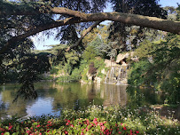 Bois de Boulogne du Restaurant gastronomique La Grande Cascade à Paris - n°1