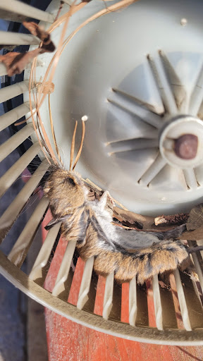 Shopping Mall «Cary Village Square Shopping Center», reviews and photos, 657 Cary Towne Blvd, Cary, NC 27511, USA