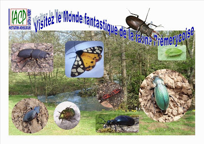 Investigations Archéologiques 58 à Prémery