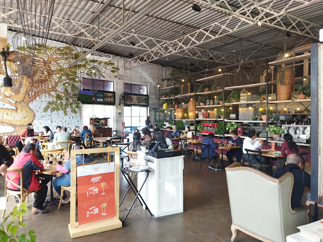 Sofá Café San Borja - San Borja