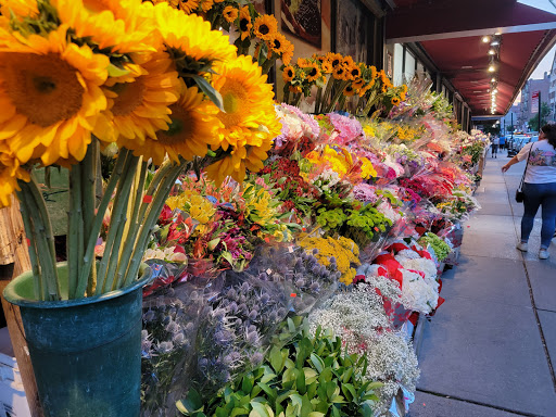 Grocery Store «Natural Market», reviews and photos, 7256 Austin St, Flushing, NY 11375, USA