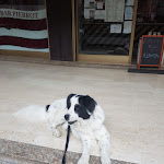 Photo n°2 de l'avis de Roberto.r fait le 10/05/2021 à 04:22 sur le  Osteria Croce di Malta à Azzano Mella