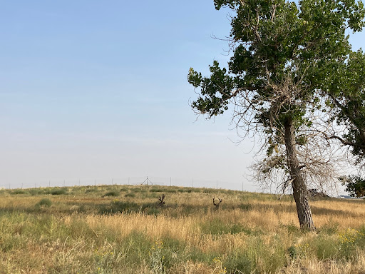 Wildlife Refuge «Rocky Mountain Arsenal National Wildlife Refuge», reviews and photos