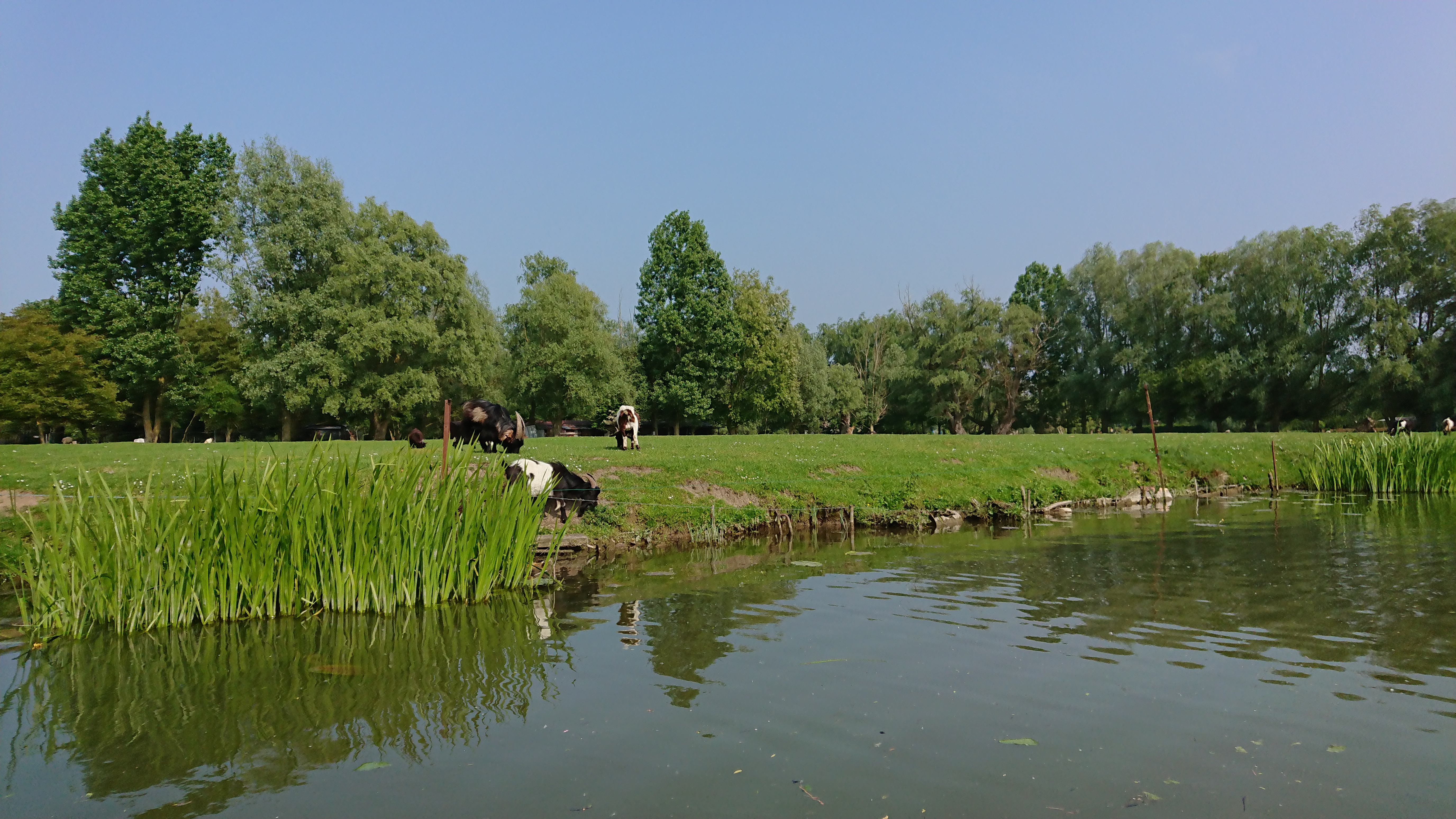 Photo n° 42 de l'avis de Perso.e fait le 20/05/2018 à 16:43