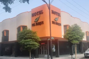 Hotel del Parque image