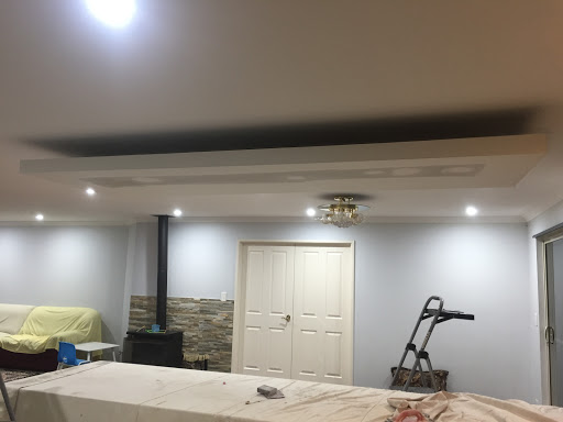 Leo Ceilings Contractor - Ceiling Repairs & Fixer Perth